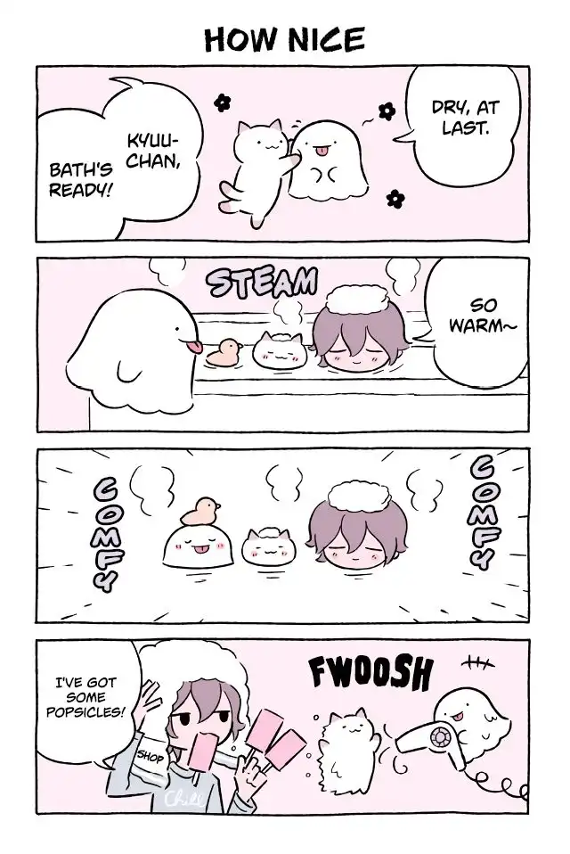 Wonder Cat Kyuu-chan Chapter 527 1